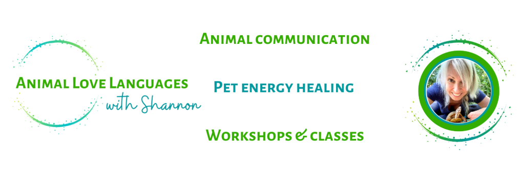 Animal Love Languages with animal communicator Shannon Cutts