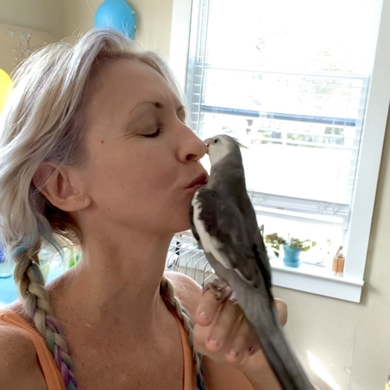 cockatiel gets belly kisses